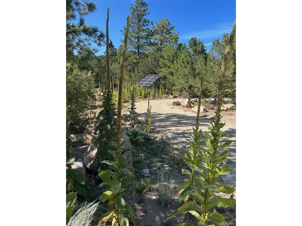 1380 Oak Drive Westcliffe, CO 81252
