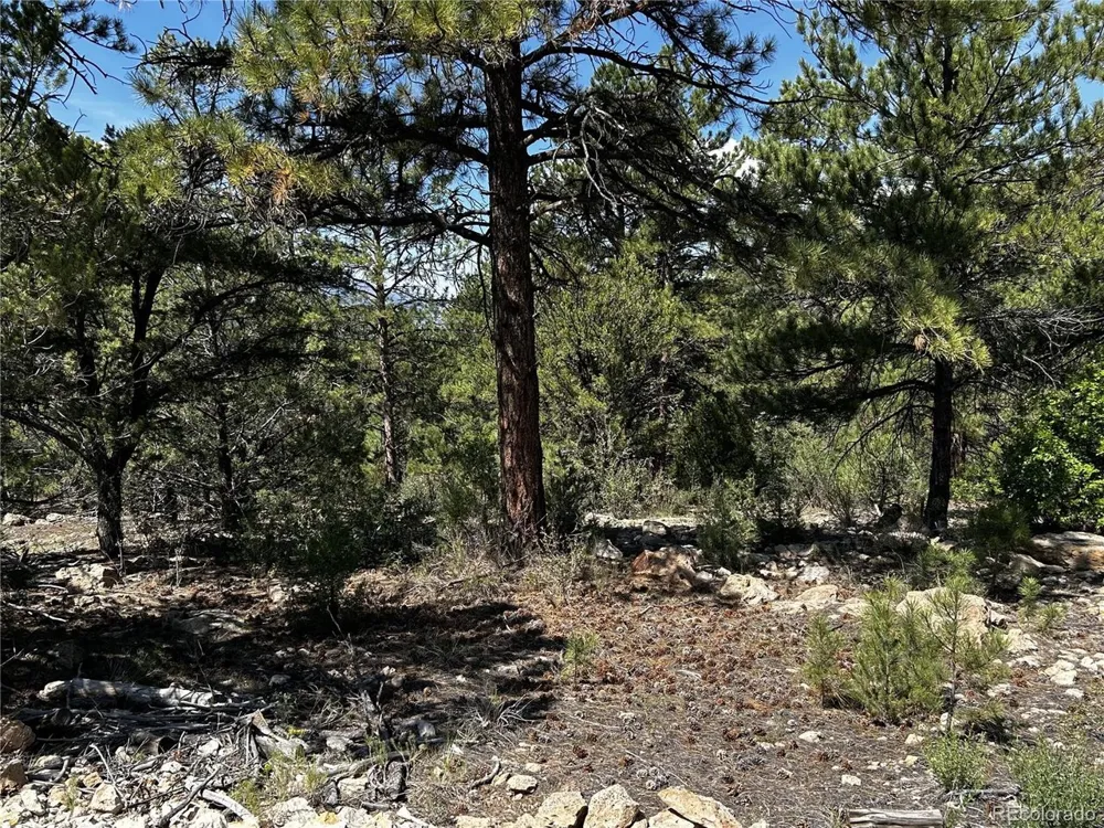 1380 Oak Drive Westcliffe, CO 81252