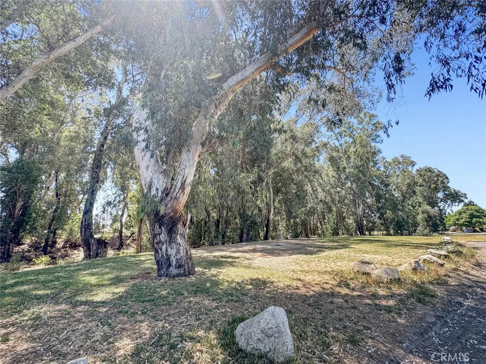 1246 Paseo Redondo Merced, CA 95348