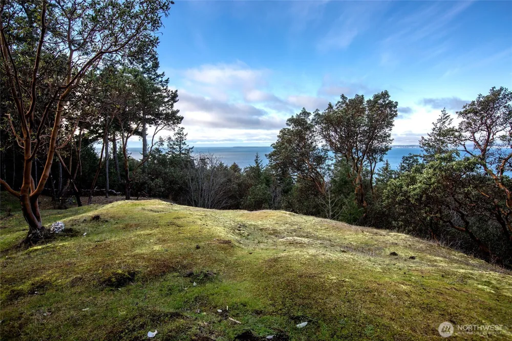 7 Spinnaker Lane Friday Harbor, WA 98250