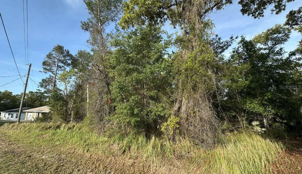 0 OLIVE CIRCLE ocala, FL 34472