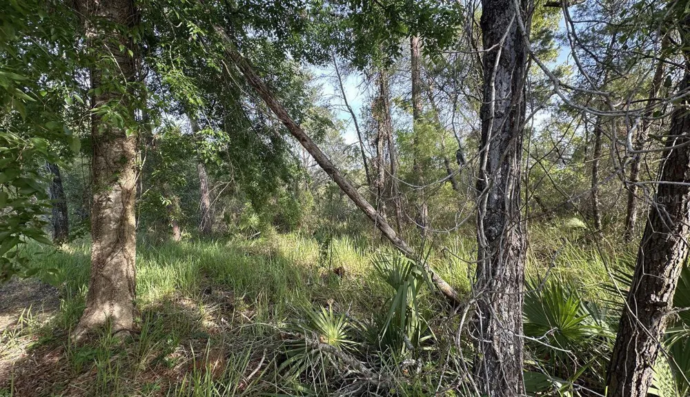 0 OLIVE CIRCLE ocala, FL 34472