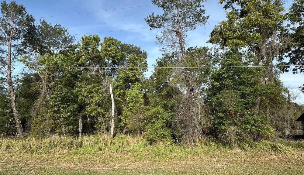 0 OLIVE CIRCLE ocala, FL 34472