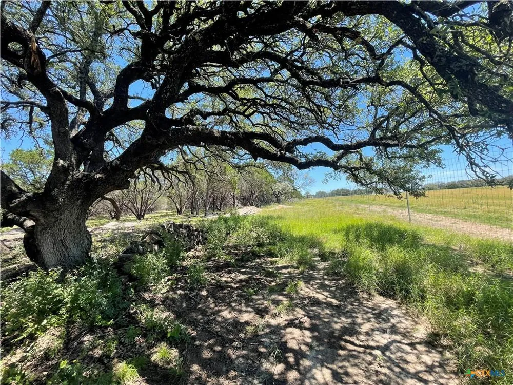 65 Estate View Circle Lampasas, TX 76550