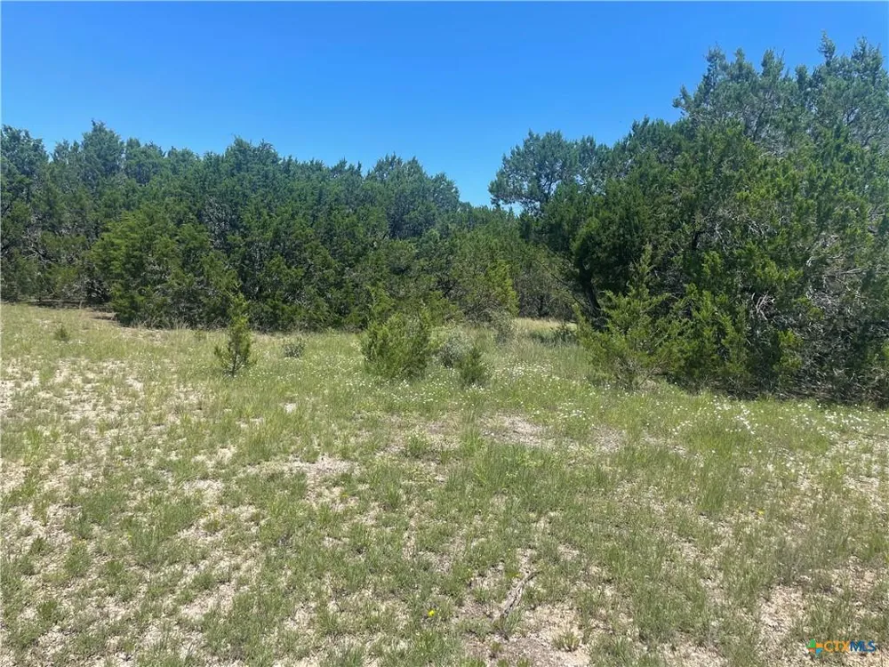65 Estate View Circle Lampasas, TX 76550