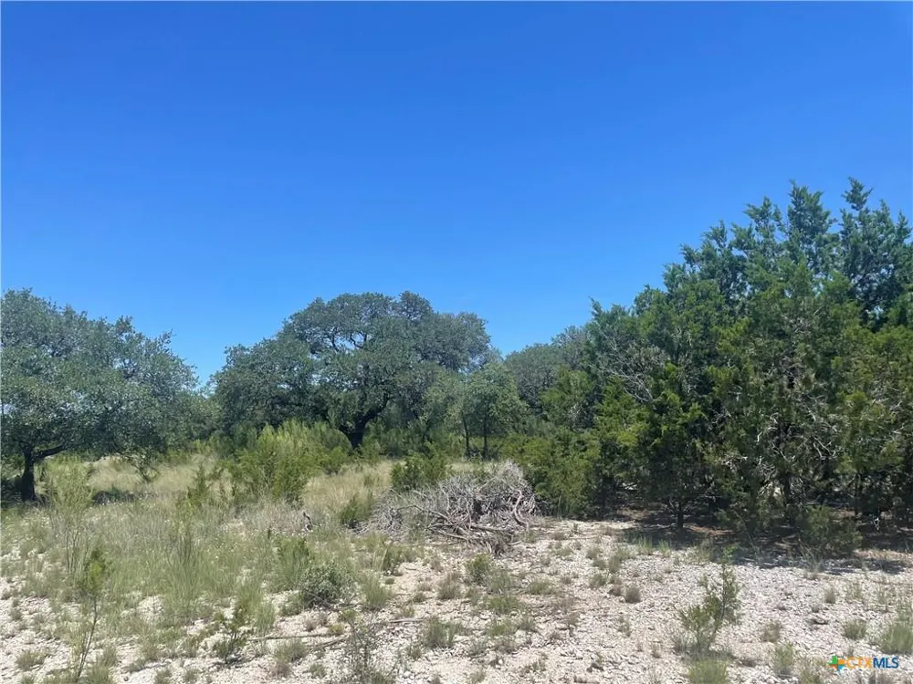 65 Estate View Circle Lampasas, TX 76550