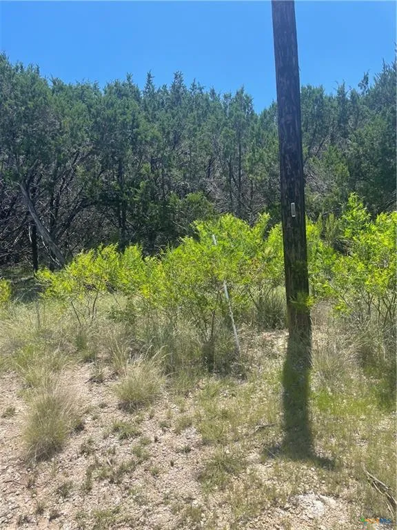 65 Estate View Circle Lampasas, TX 76550