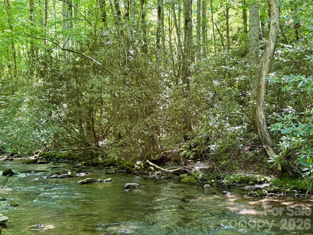 0 Timber Estates Road #11 Bryson City, NC 28713