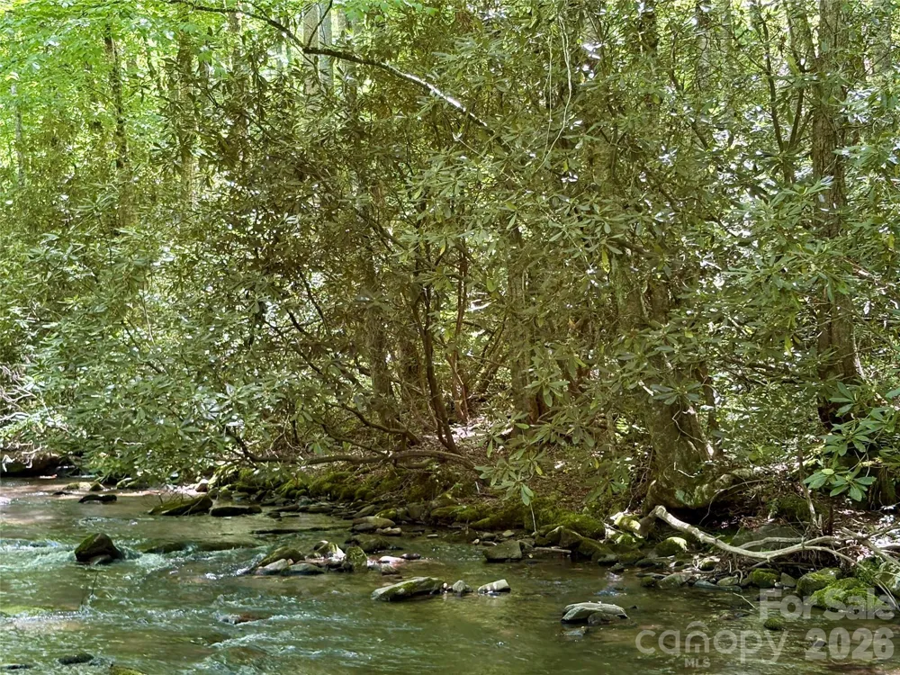 0 Timber Estates Road #11 Bryson City, NC 28713