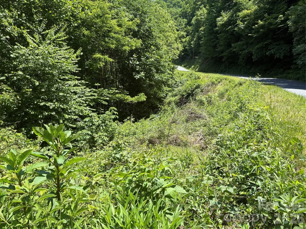 0 Timber Estates Road #11 Bryson City, NC 28713