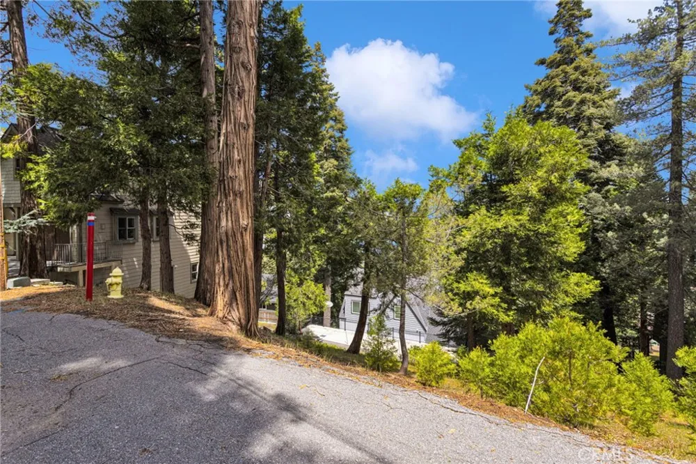 325 Mittry Lake Arrowhead, CA 92352