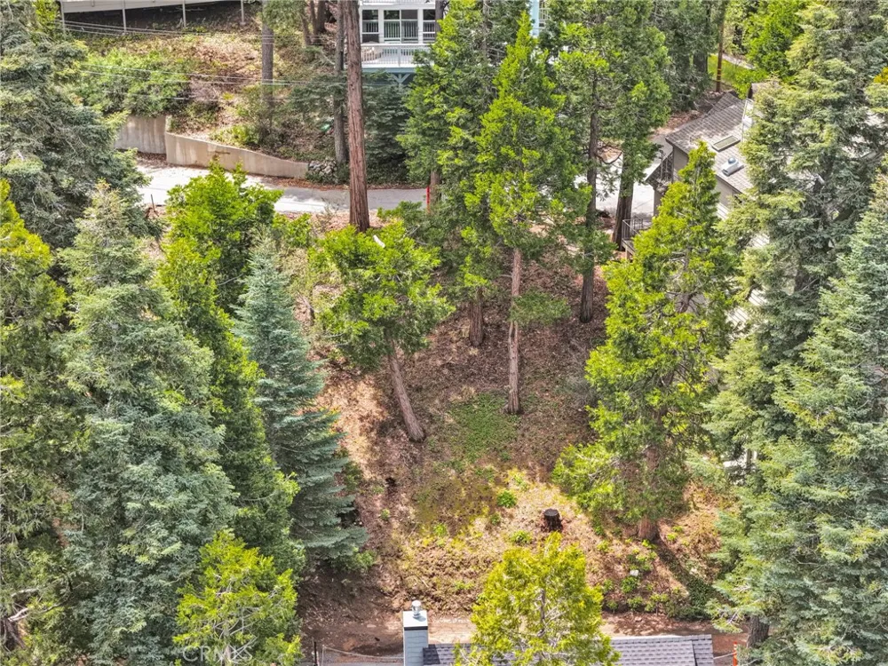 325 Mittry Lake Arrowhead, CA 92352