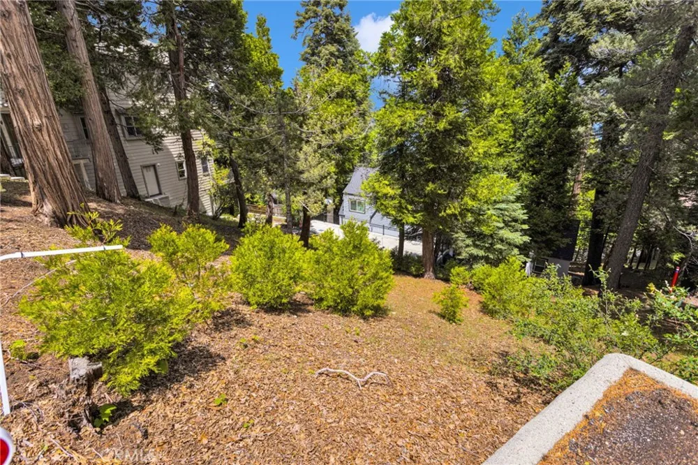325 Mittry Lake Arrowhead, CA 92352