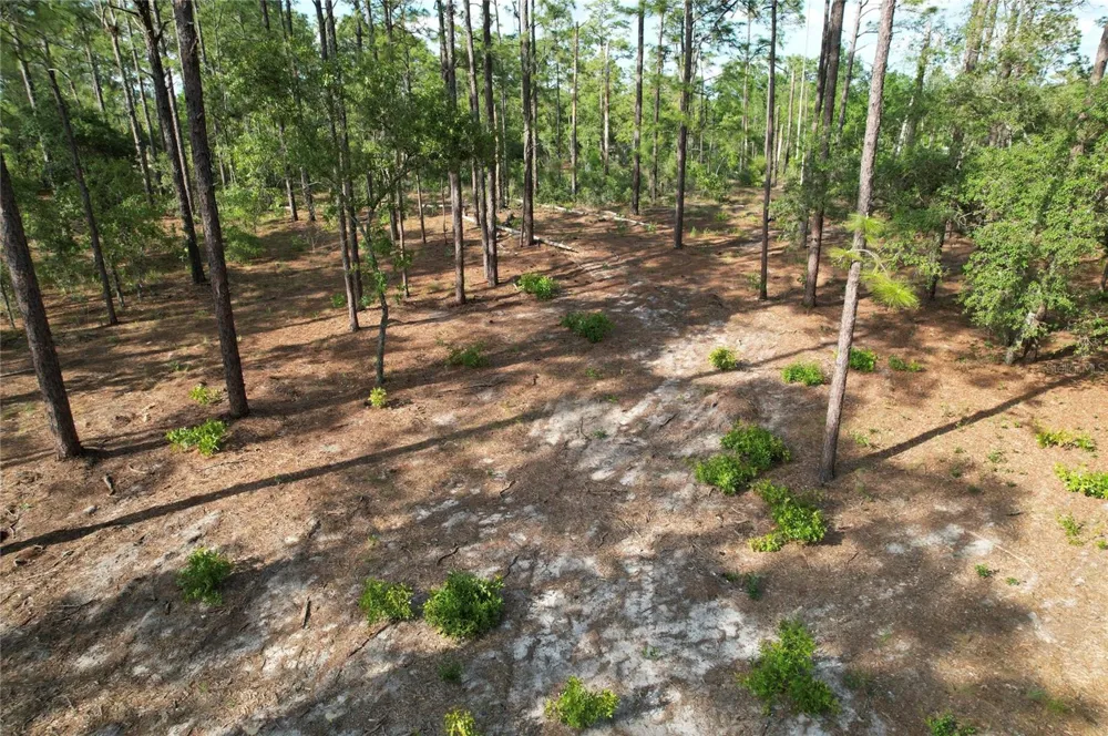 SE 148TH COURT Morriston, FL 32668
