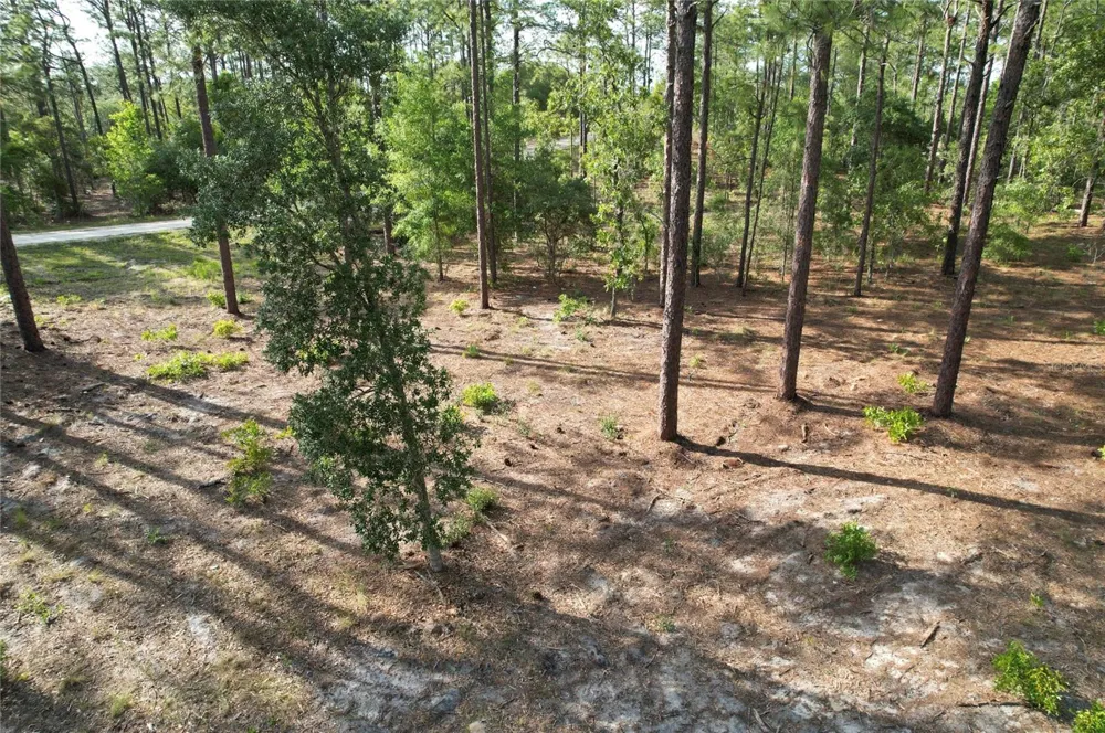 SE 148TH COURT Morriston, FL 32668