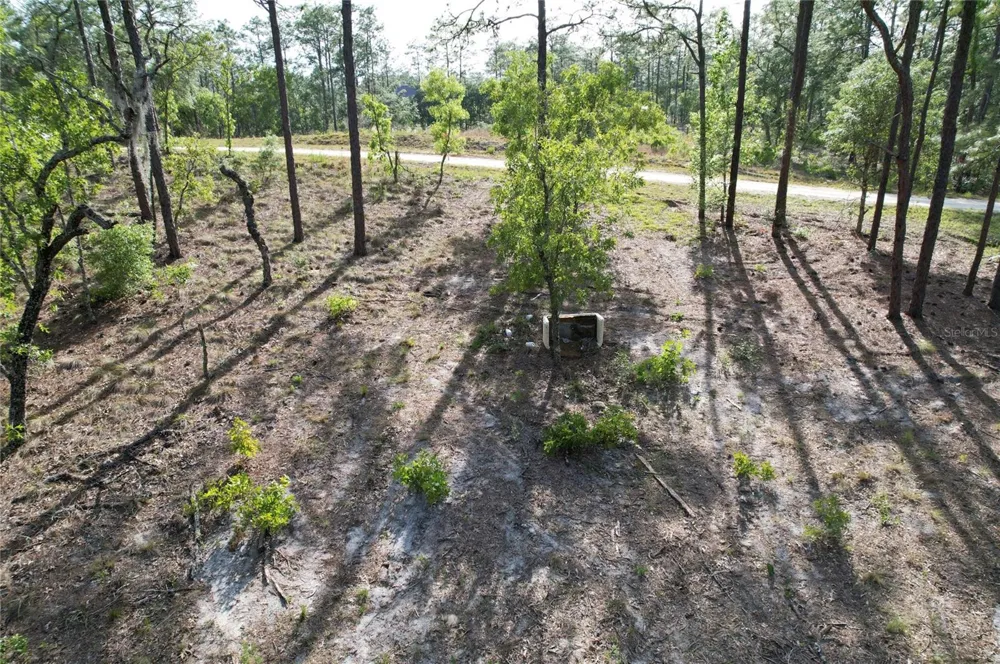 SE 148TH COURT Morriston, FL 32668
