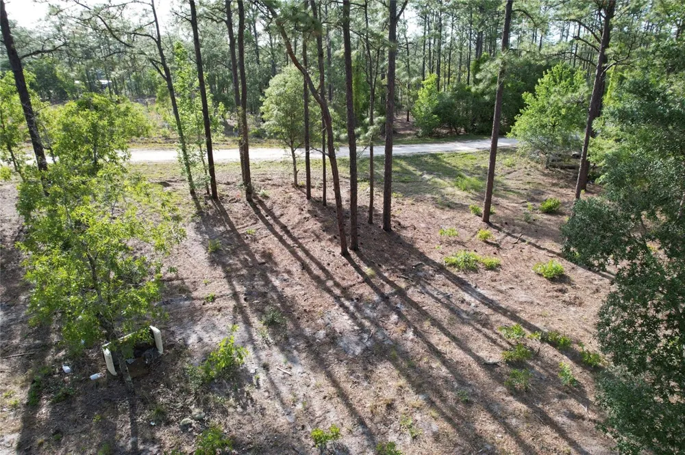 SE 148TH COURT Morriston, FL 32668