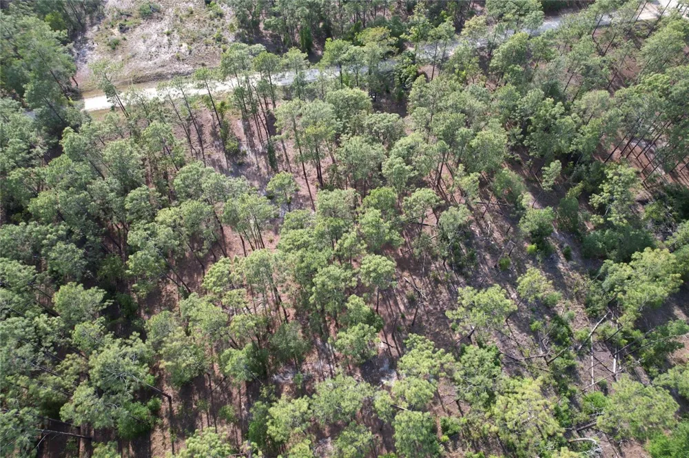 SE 148TH COURT Morriston, FL 32668