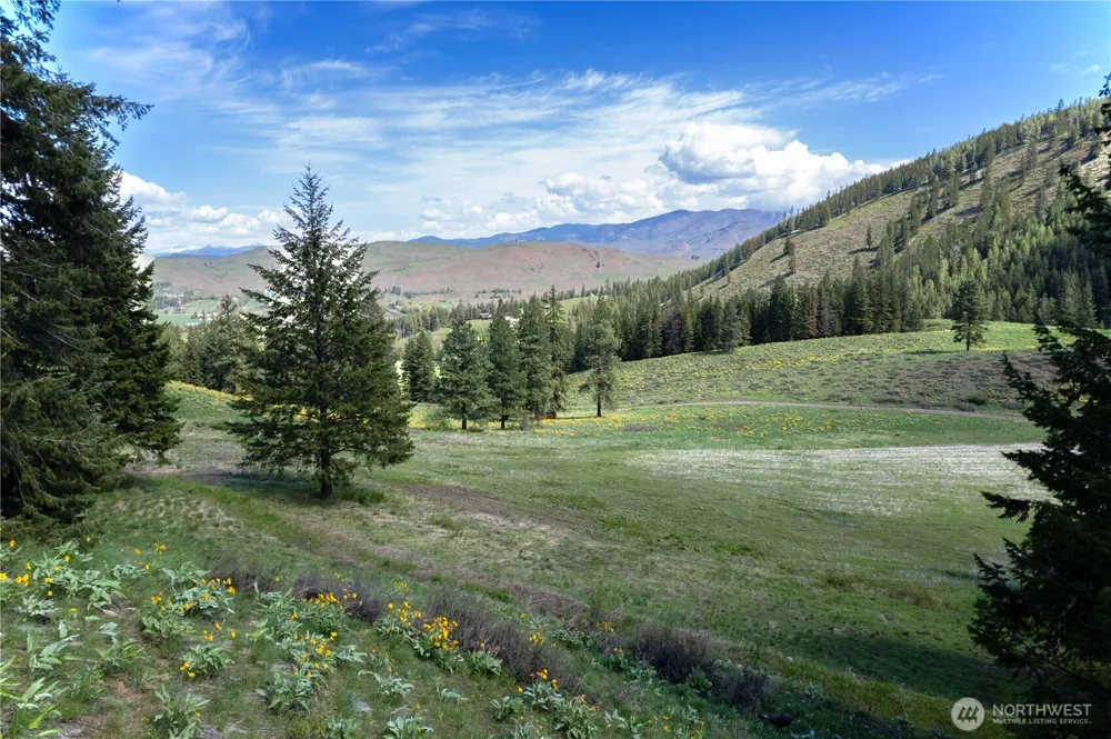 102 Elbow Canyon Road Twisp, WA 98856