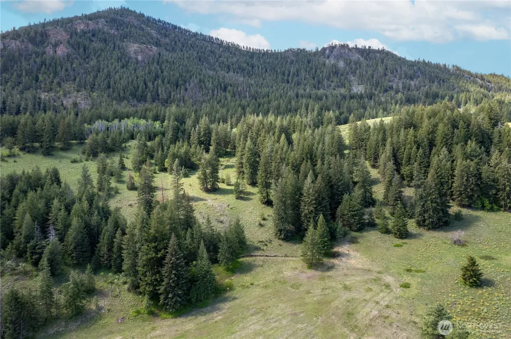 102 Elbow Canyon Road Twisp, WA 98856
