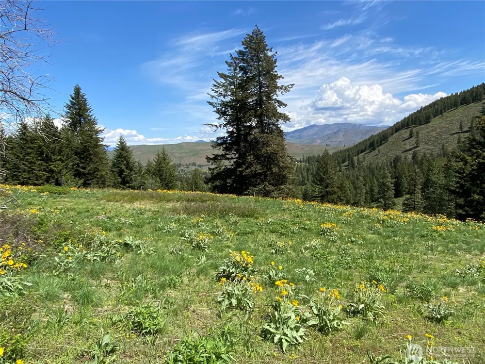 102 Elbow Canyon Road Twisp, WA 98856