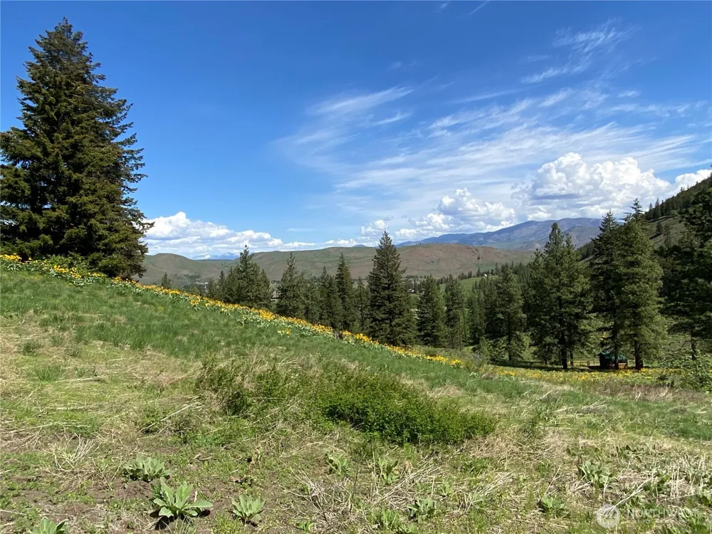 102 Elbow Canyon Road Twisp, WA 98856