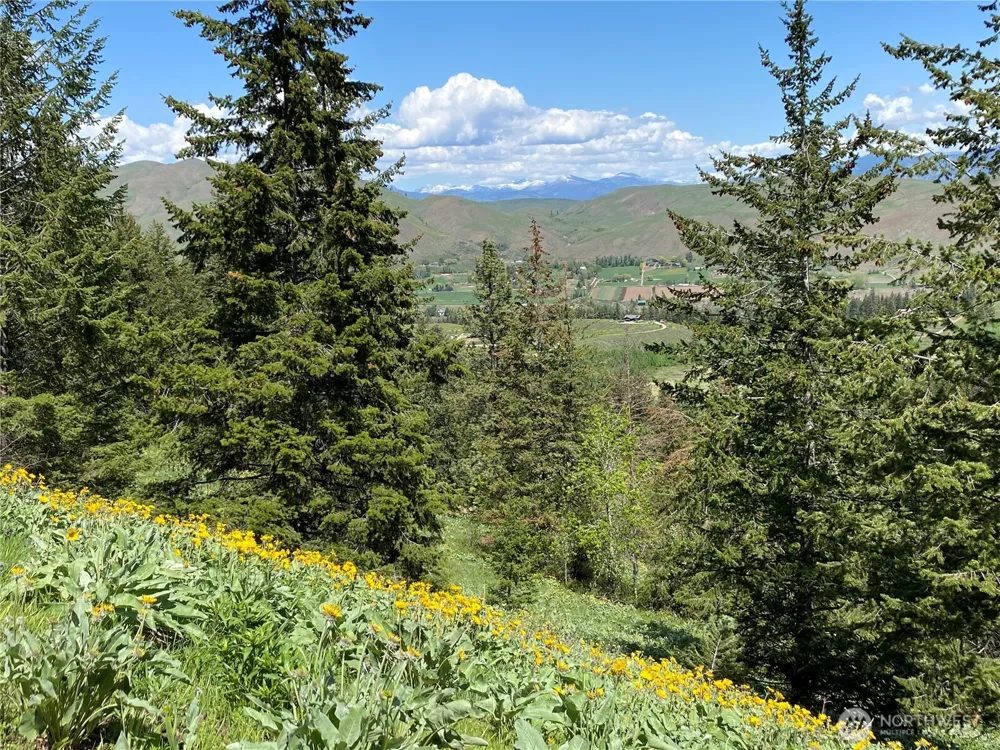 102 Elbow Canyon Road Twisp, WA 98856