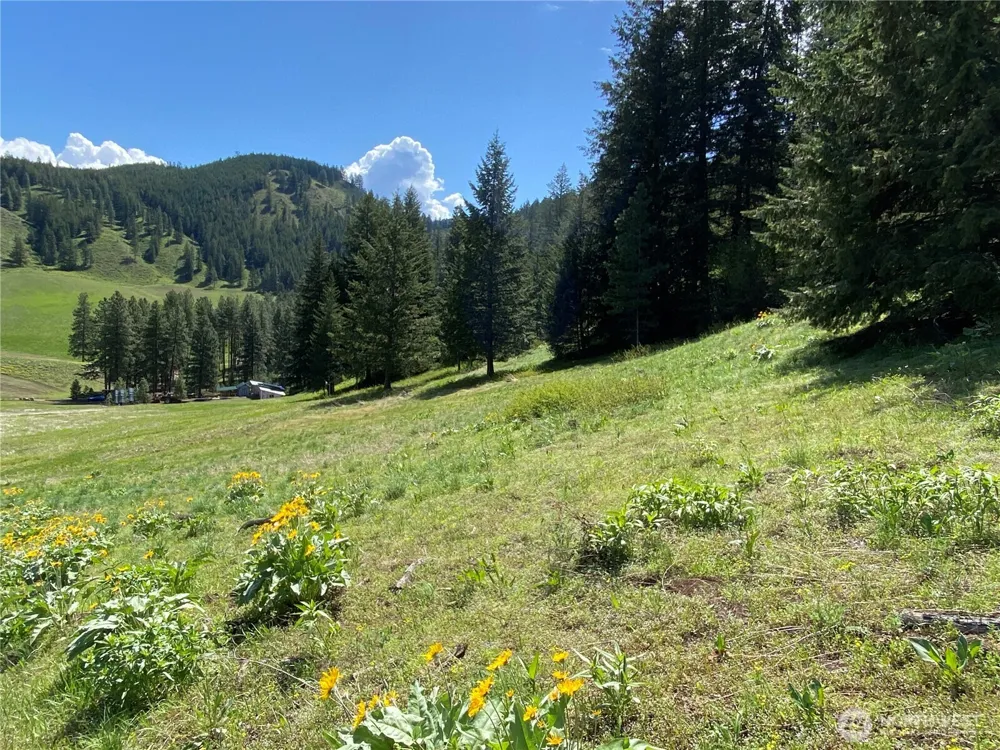 102 Elbow Canyon Road Twisp, WA 98856