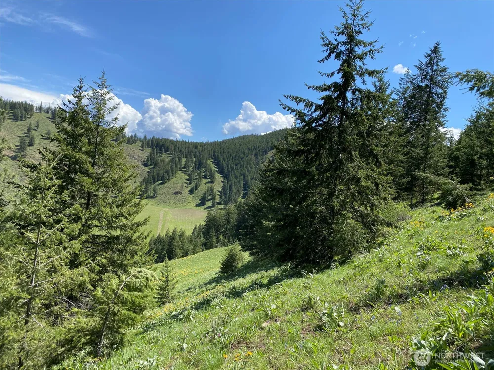 102 Elbow Canyon Road Twisp, WA 98856