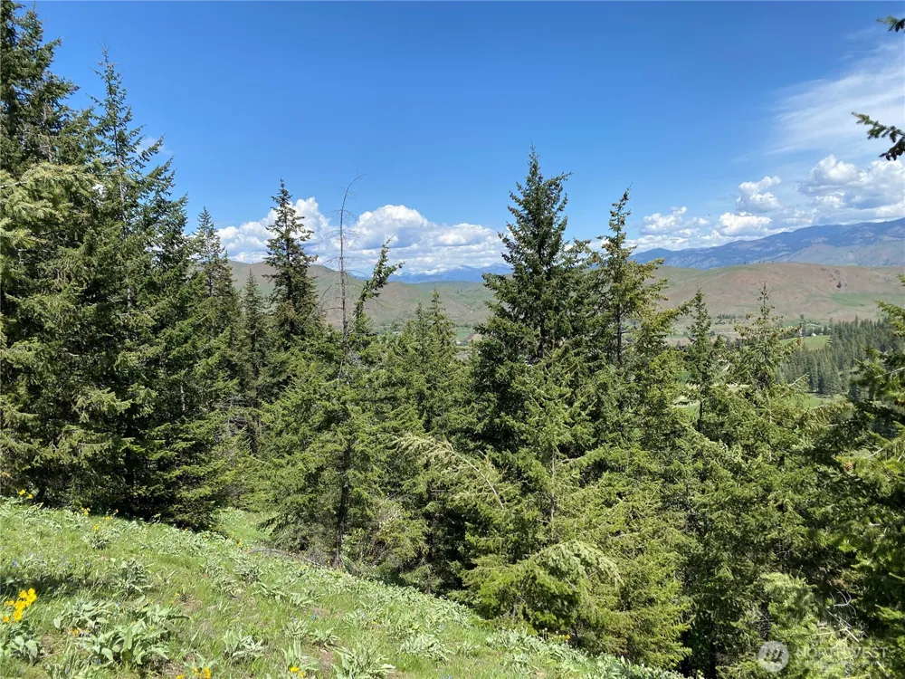 102 Elbow Canyon Road Twisp, WA 98856
