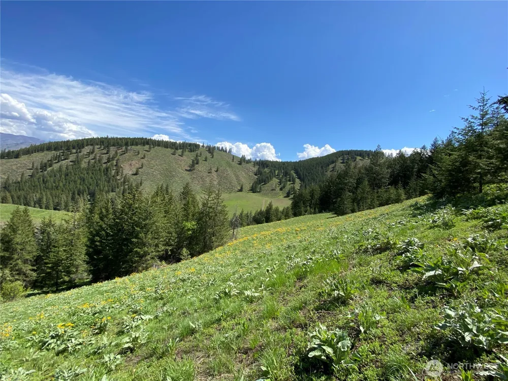 102 Elbow Canyon Road Twisp, WA 98856