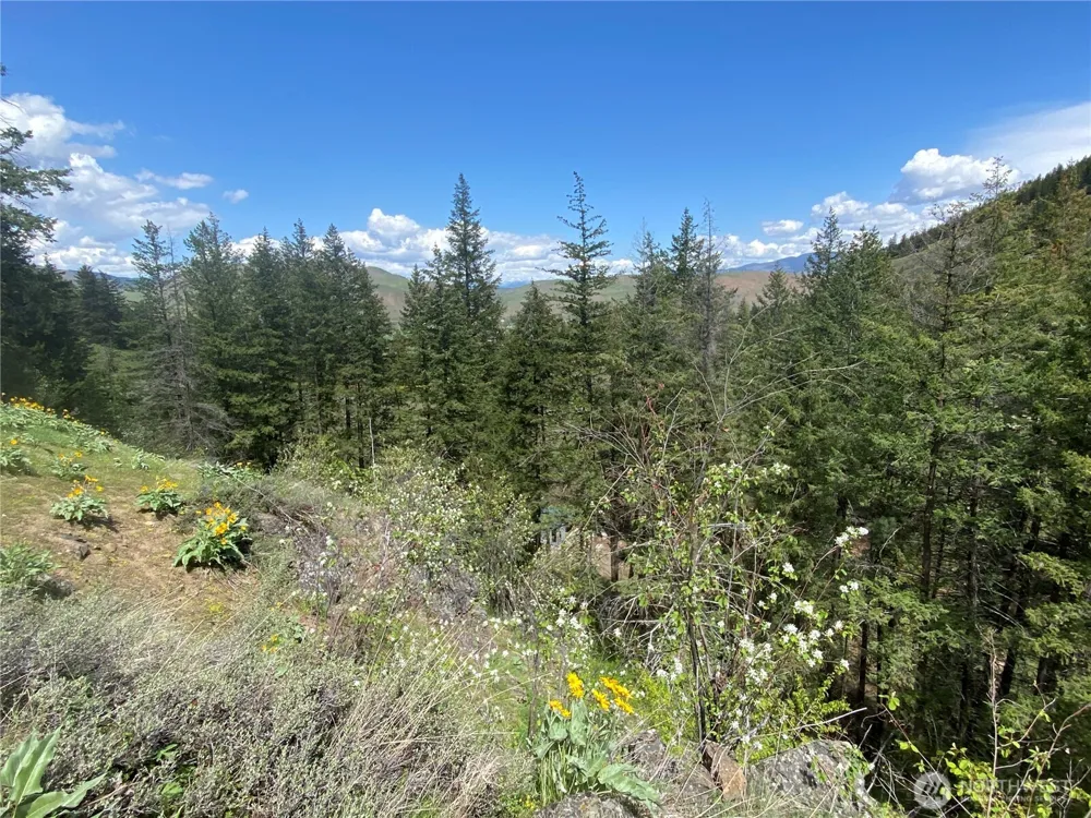 102 Elbow Canyon Road Twisp, WA 98856