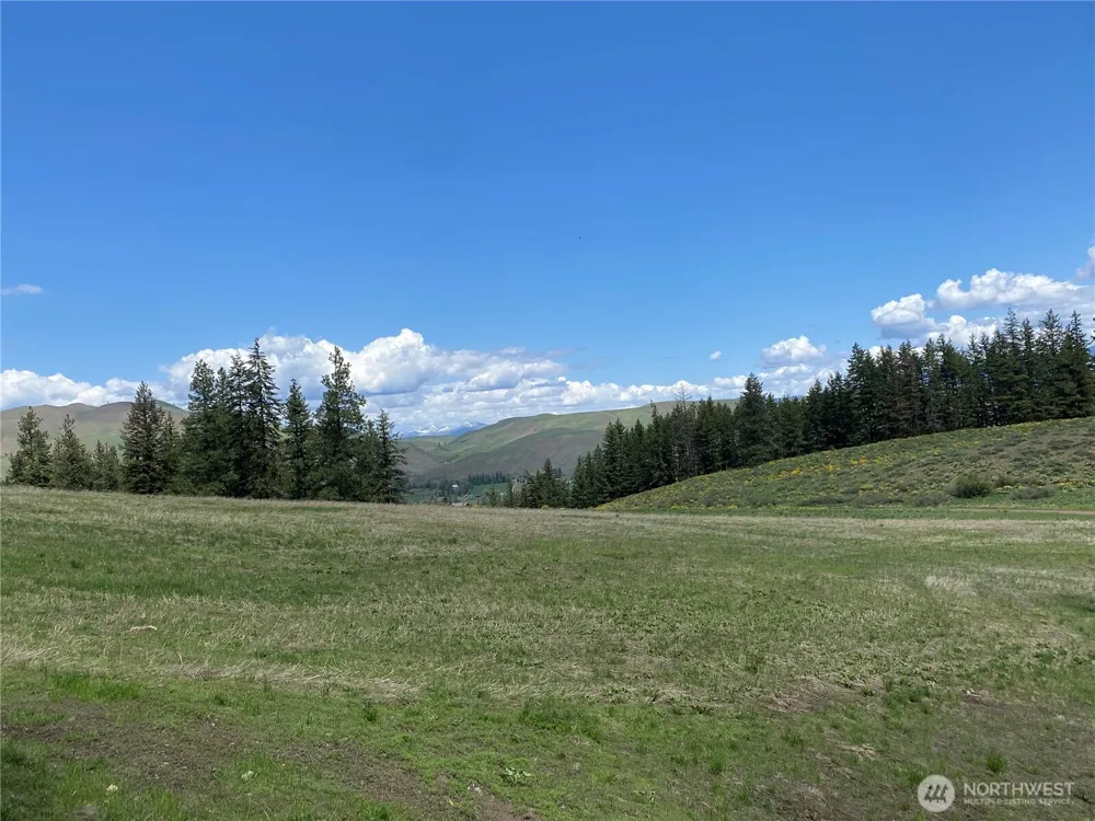 102 Elbow Canyon Road Twisp, WA 98856