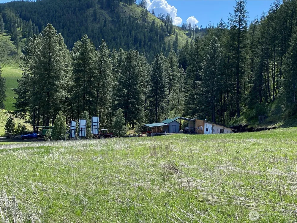 102 Elbow Canyon Road Twisp, WA 98856