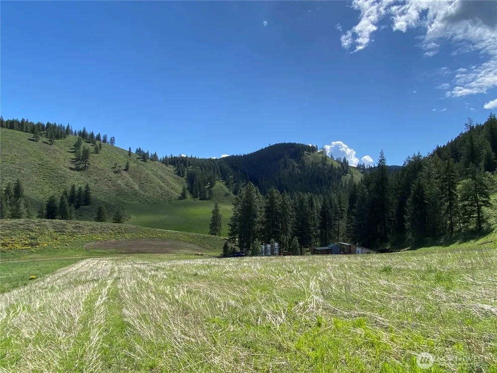 102 Elbow Canyon Road Twisp, WA 98856