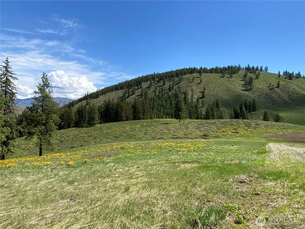 102 Elbow Canyon Road Twisp, WA 98856