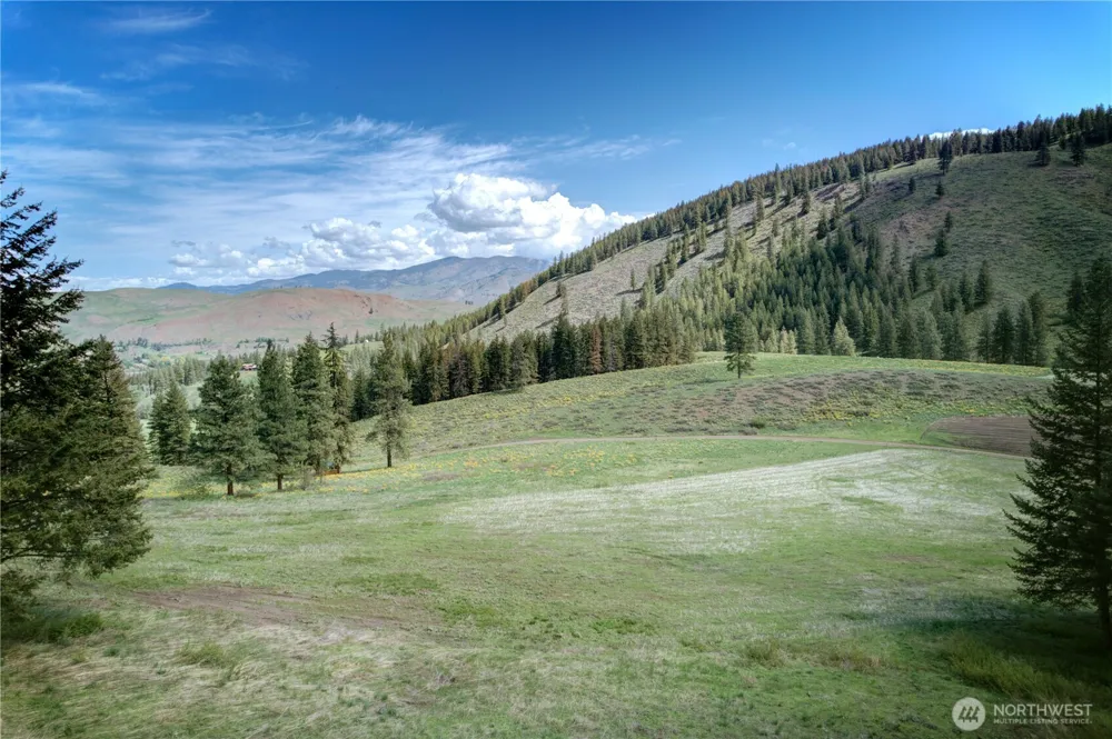 102 Elbow Canyon Road Twisp, WA 98856