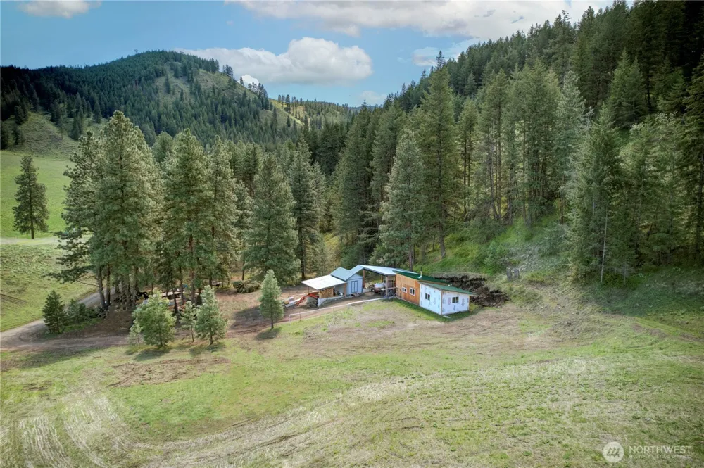 102 Elbow Canyon Road Twisp, WA 98856