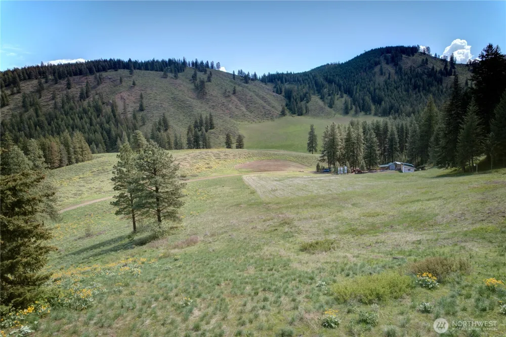 102 Elbow Canyon Road Twisp, WA 98856