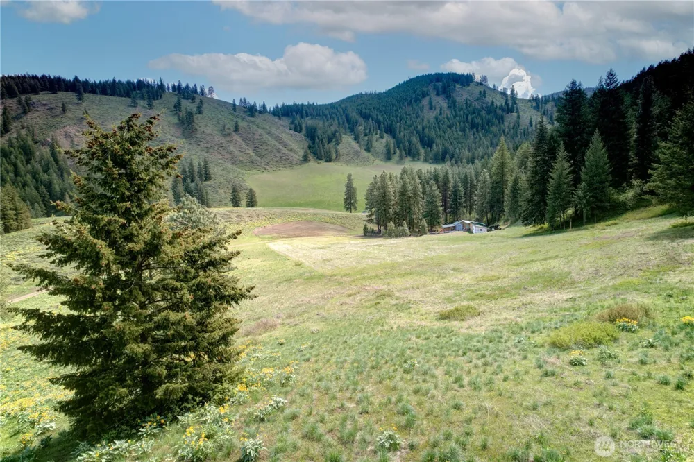 102 Elbow Canyon Road Twisp, WA 98856