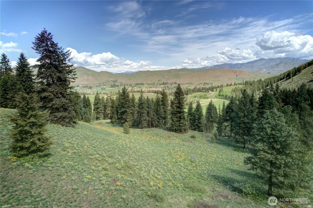 102 Elbow Canyon Road Twisp, WA 98856