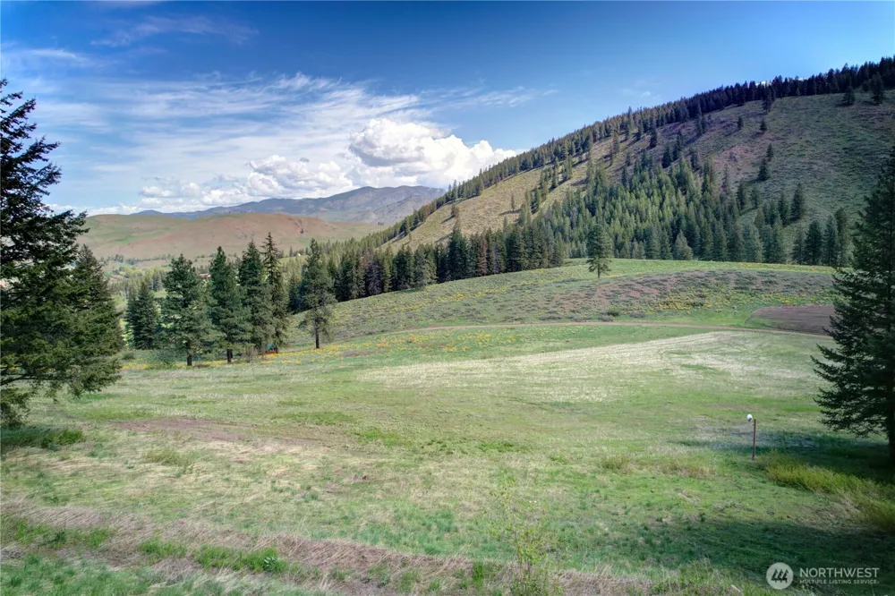 102 Elbow Canyon Road Twisp, WA 98856