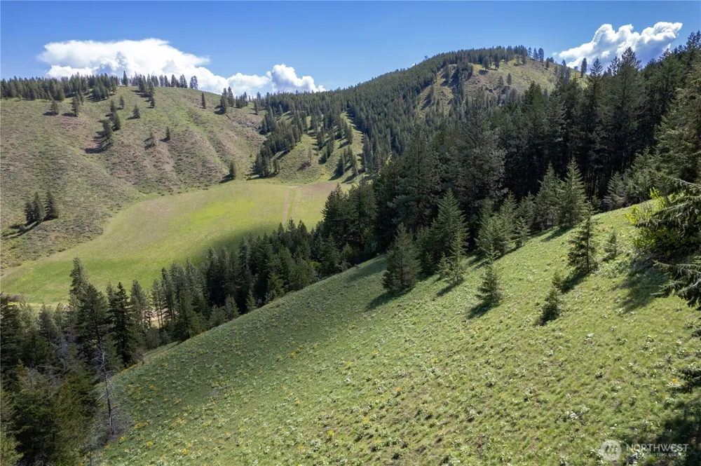 102 Elbow Canyon Road Twisp, WA 98856