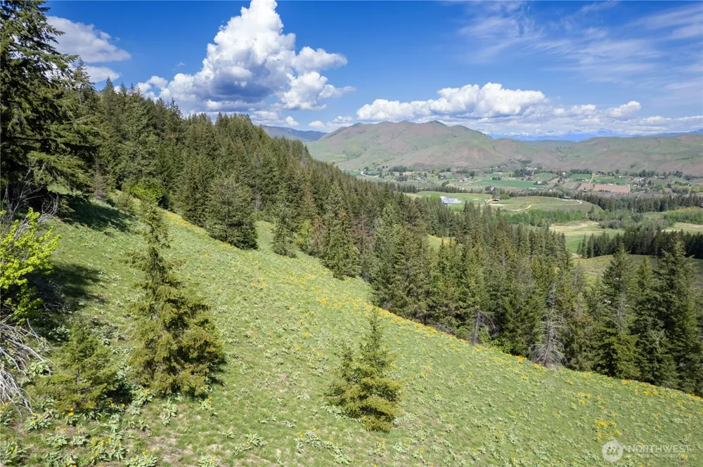 102 Elbow Canyon Road Twisp, WA 98856
