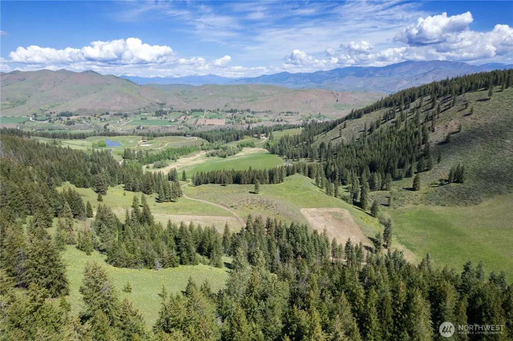 102 Elbow Canyon Road Twisp, WA 98856