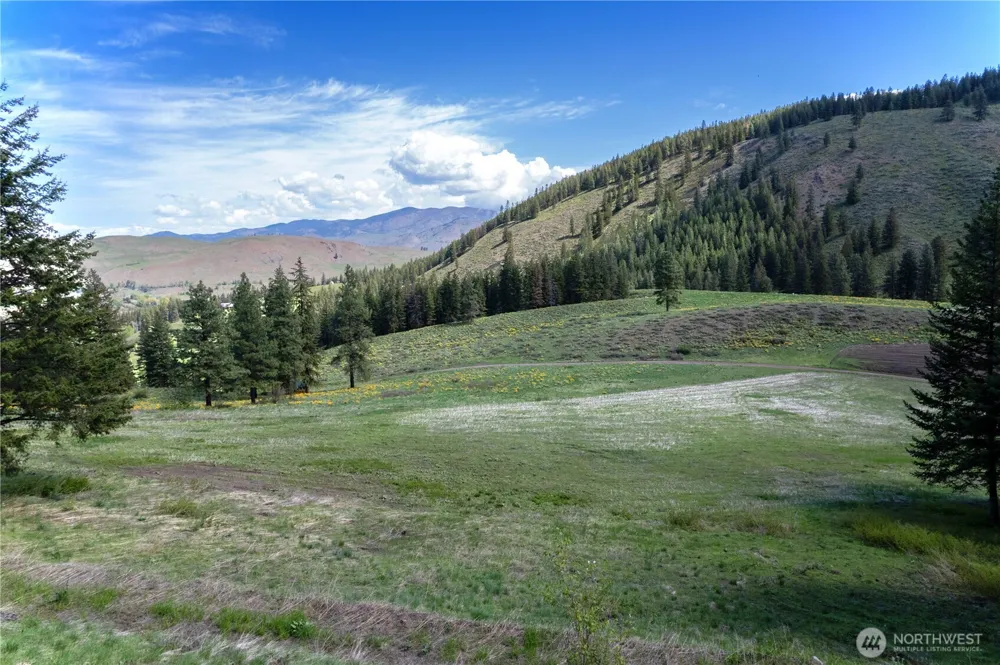 102 Elbow Canyon Road Twisp, WA 98856