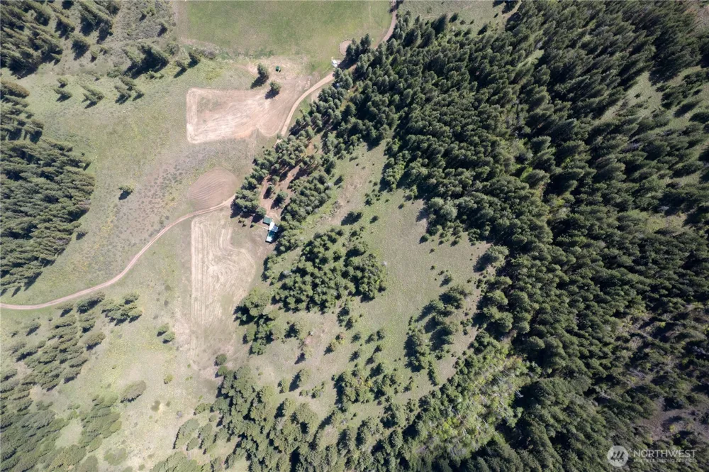 102 Elbow Canyon Road Twisp, WA 98856