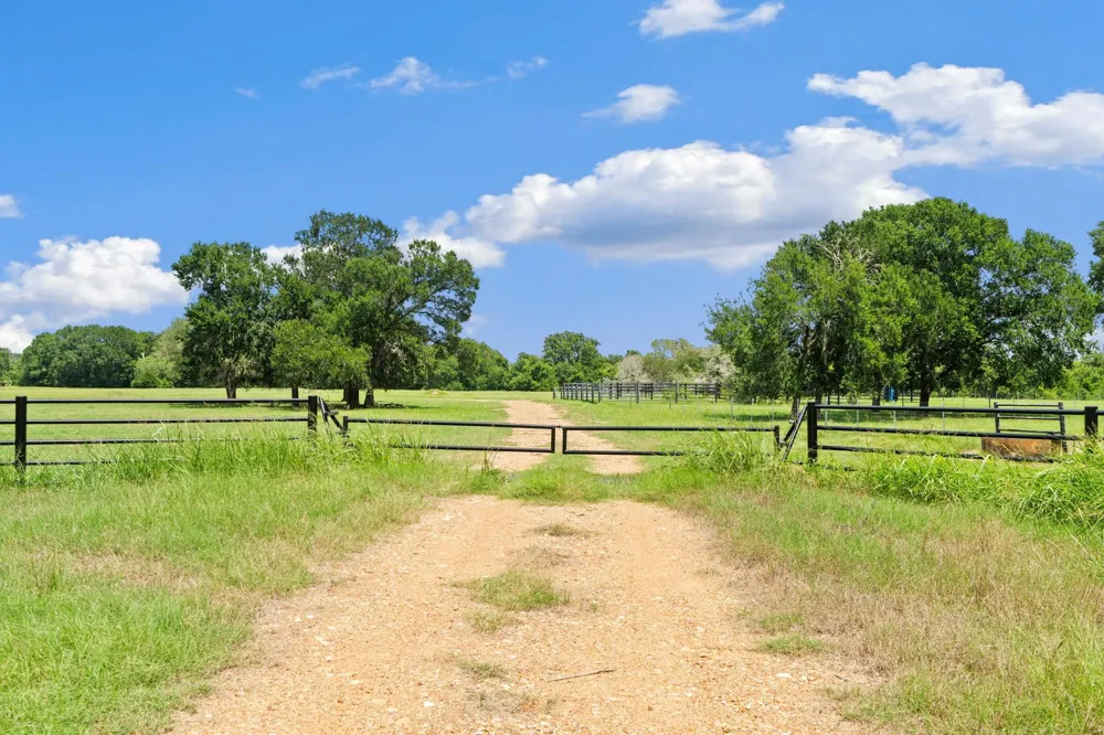 11 St Delight Road Paige, TX 78659