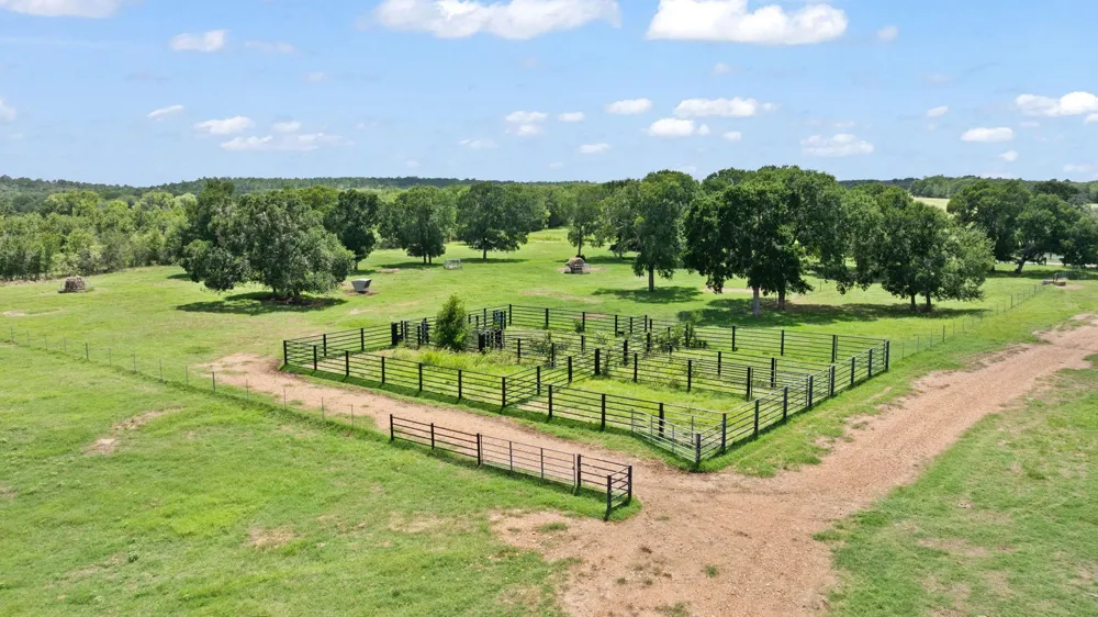 11 St Delight Road Paige, TX 78659