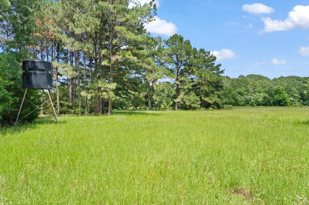 11 St Delight Road Paige, TX 78659